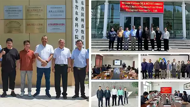 international cooperation