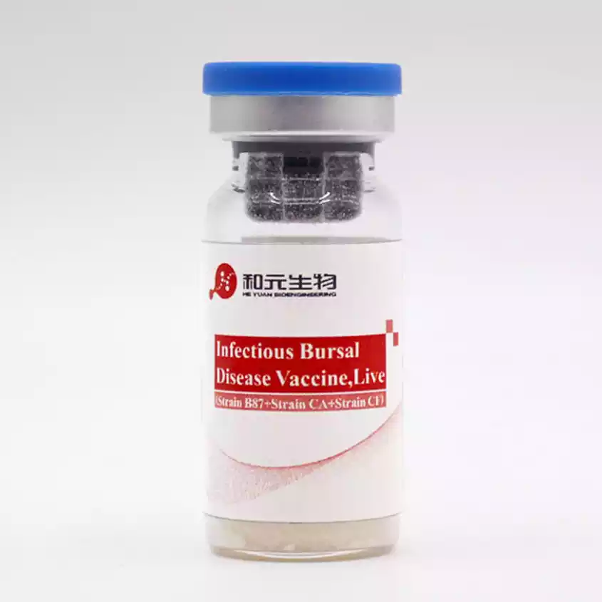 infectious bursal disease vaccine live