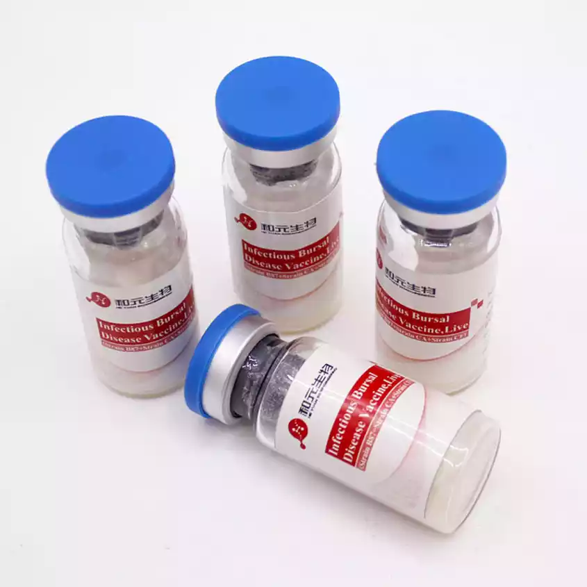 infectious bursal disease vaccine live