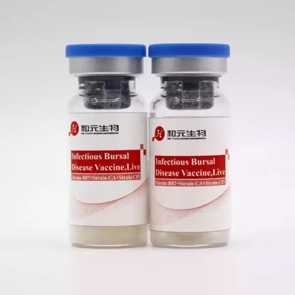 infectious bursal disease vaccine live