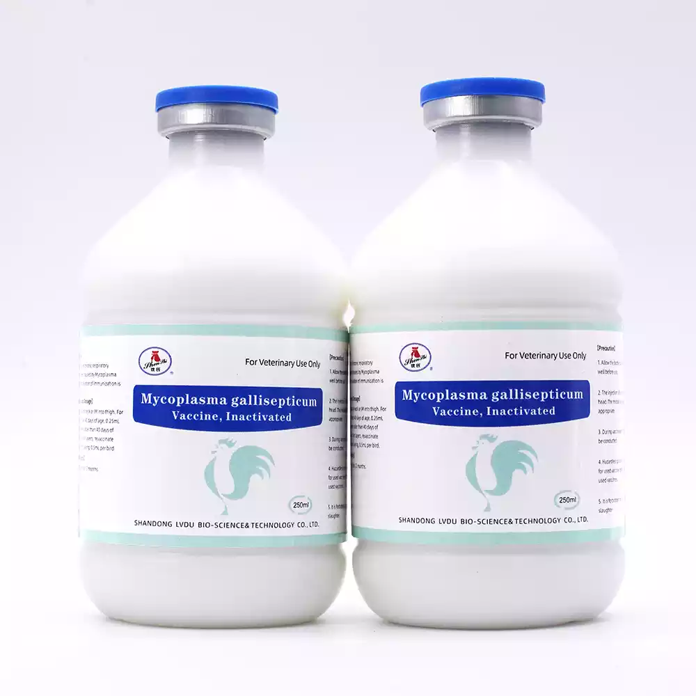 mycoplasma gallisepticum inactivated vaccine