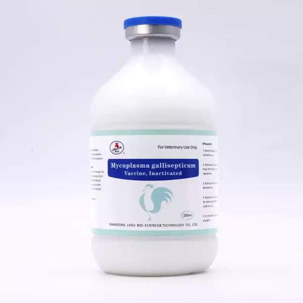 mycoplasma gallisepticum inactivated vaccine