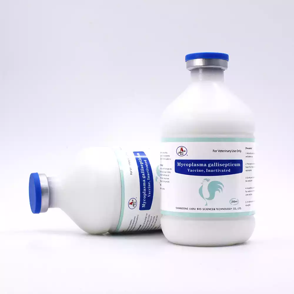 mycoplasma gallisepticum inactivated vaccine