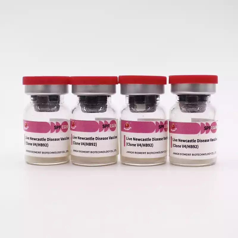 newcastle disease live vaccine
