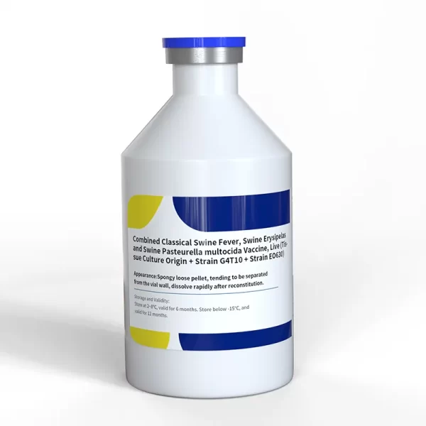 swine erysipelas and pasteurella live vaccine