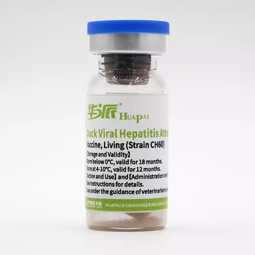 duck virus hepatitis vaccine