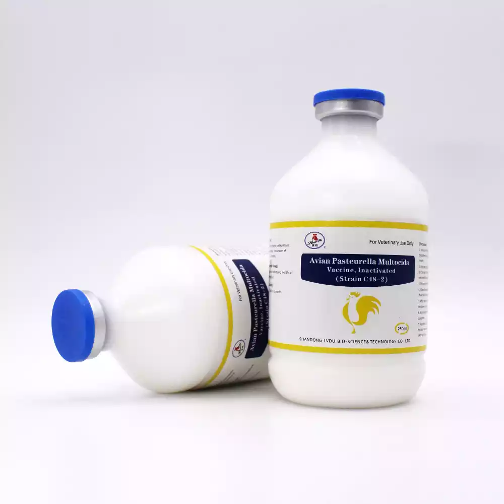 pasteurella multocida vaccine