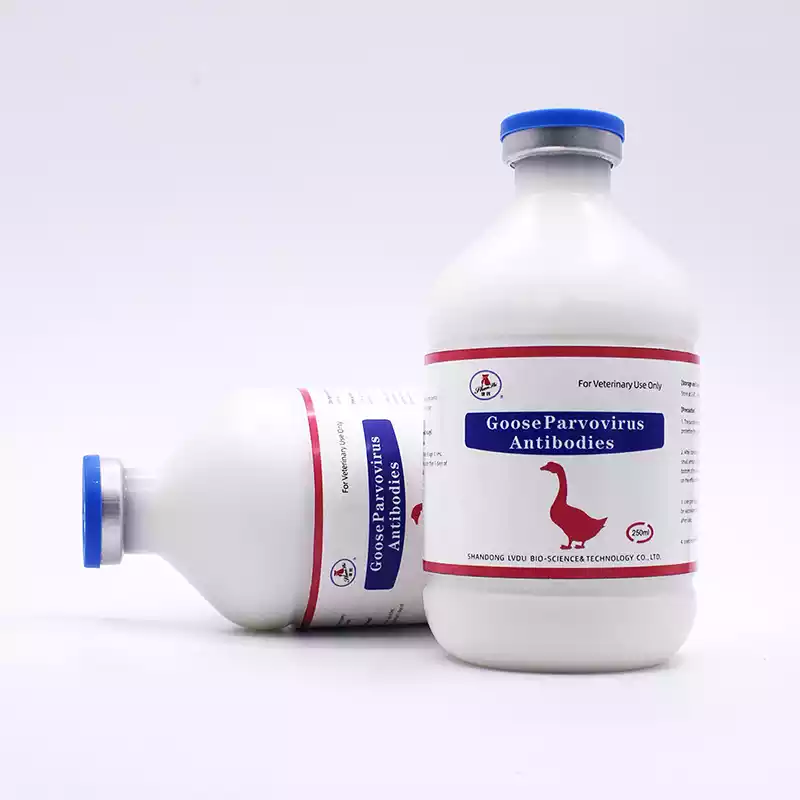 live gosling plague vaccine