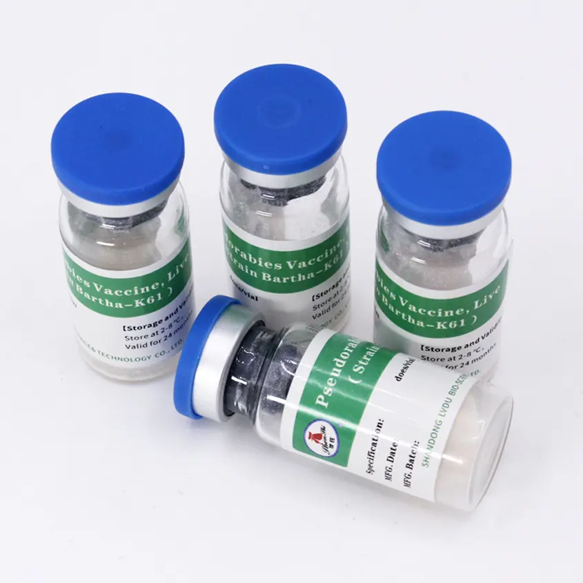 Pseudorabies Vaccine, Live