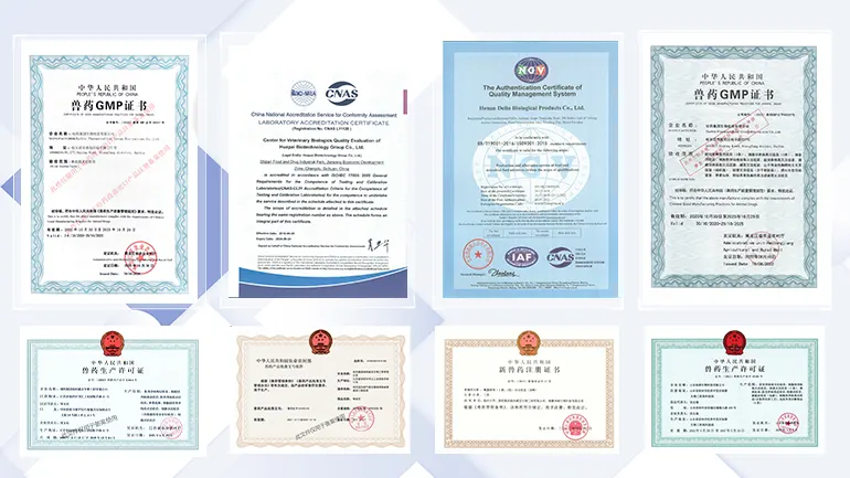 enterprise certificates